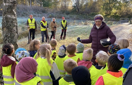 Elever från förskolan planterade Kungsängsliljor i Knivsta.